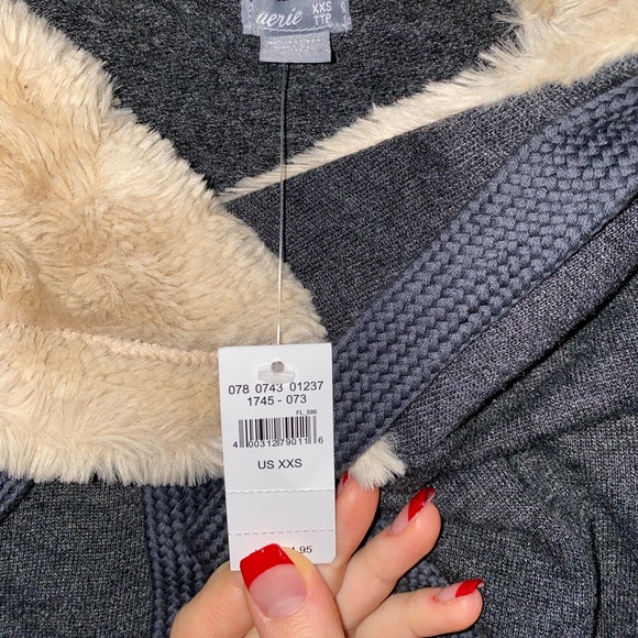 NEW! Aerie Oversized Coziest Spring Street Hoodie - Picture 5 of 6